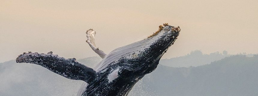 凉山中公教育欢迎您。